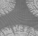 Gardine, Jacquardgewebe, Raschelspitze, Farbe Grau, Design Baumscheiben, Transparent,  in verschiedenen Größen und Variationen erhältlich