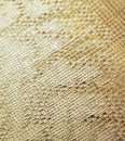 Gardine, Jacquardgewebe, Raschelspitze, Farbe Taupe, Design Baumscheiben, Transparent, Maße HxB 245x140 cm