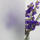 Selbstklebend ohne Klebstoff Fensterfolie 2D/3D Statisch Folie Sichtschutzfolie 16000
