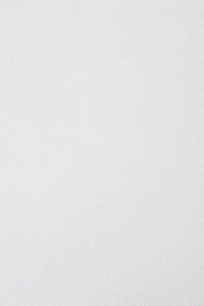 -204411- Natur HxB 245x60 cm Flächenvorhang Schiebegardine Cationic blickdicht Leinen Optik seidenmatt 204411