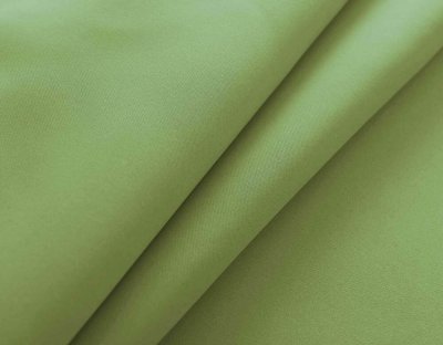 -201920600- Grün HxB 245x140 cm Vorhang Blickdicht »NewYork« Verdunkelungsvorhang Ösen Ökotex UV-Schutz